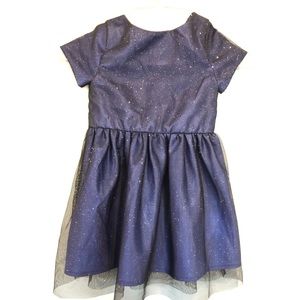 Sparkly Holiday Navy Dress